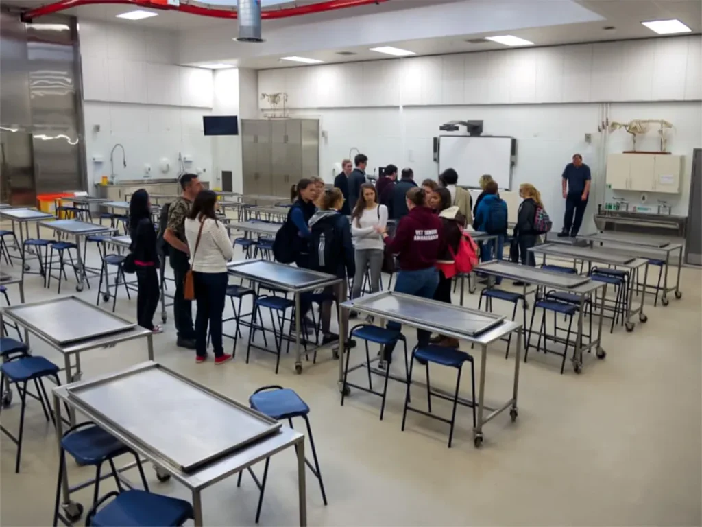 Open day visitors exploring a veterinary anatomy classroom with multiple stainless steel dissection tables.